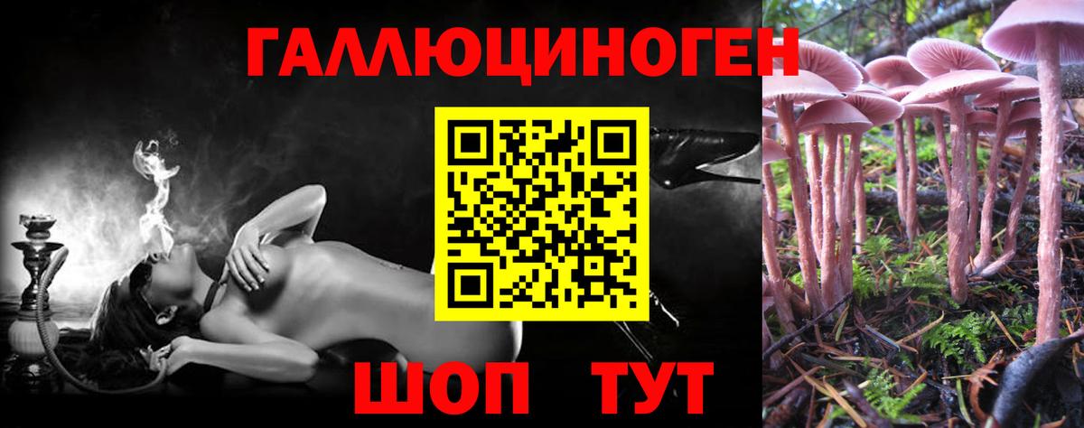 Алушта  Псилоцибиновые грибы мицелий  Вход с VPN 